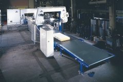 Cutting-line-consisting-of-BST-and-vertical-contour-cutting-machine